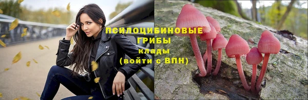 марки lsd Балабаново